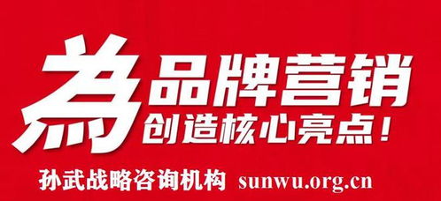 品牌智勝之道 當(dāng)專業(yè)策劃攜手孫武戰(zhàn)略，以500強(qiáng)定位案例鑄就市場(chǎng)輝煌